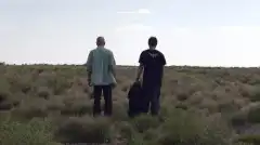 Во все тяжкие 2 сезон 3 серия