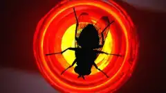 Во все тяжкие 3 сезон 10 серия